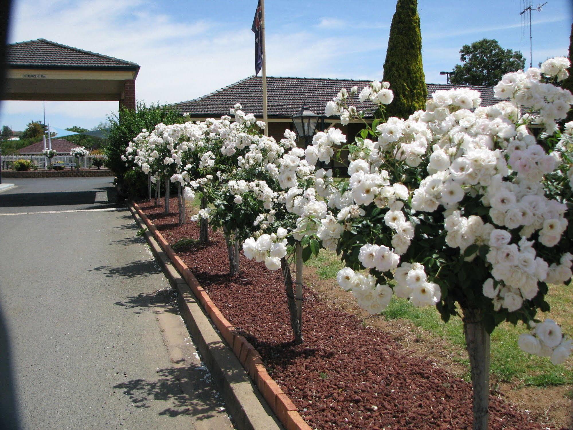 Bushman'S Motor Inn Parkes Esterno foto